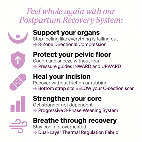 OVELLA — Postpartum Abdominal Support Binder